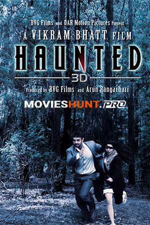 Haunted-3D (2011)