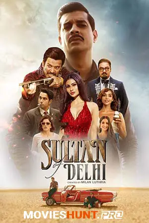 Sultan Of Delhi