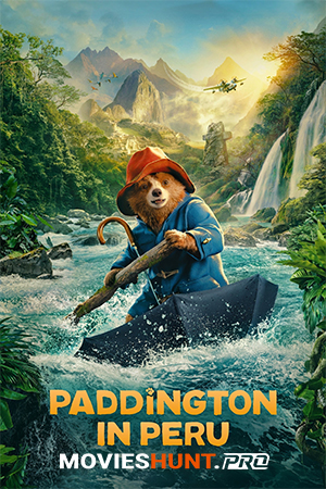Paddington in Peru