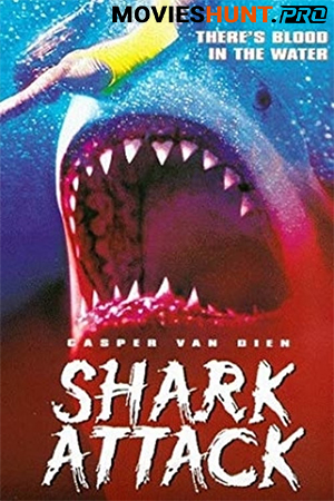 Shark Attack
