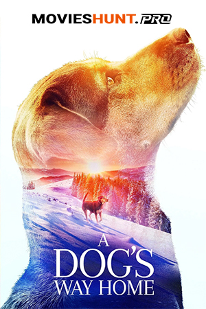 A Dog’s Way Home