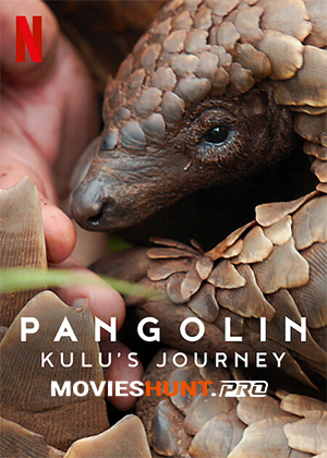 Pangolin: Kulu’s Journey